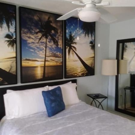 Tampa Bay Beautiful Apartment And Private Jacuzzi Kültér fotó