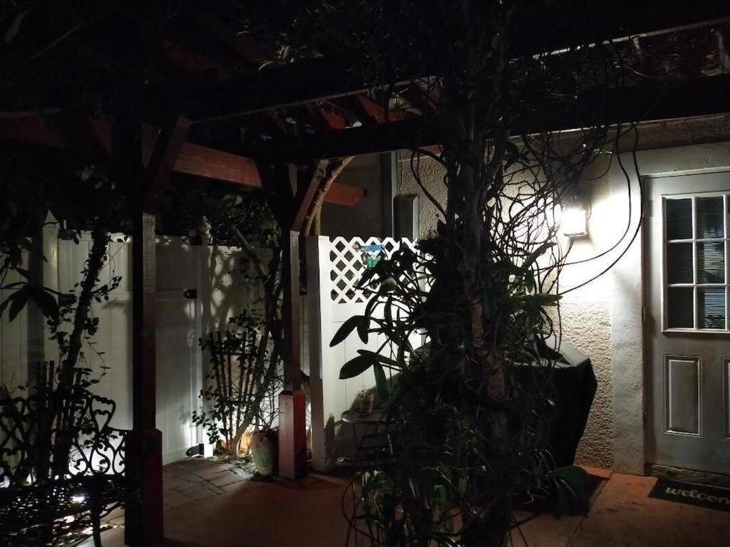 Tampa Bay Beautiful Apartment And Private Jacuzzi Kültér fotó