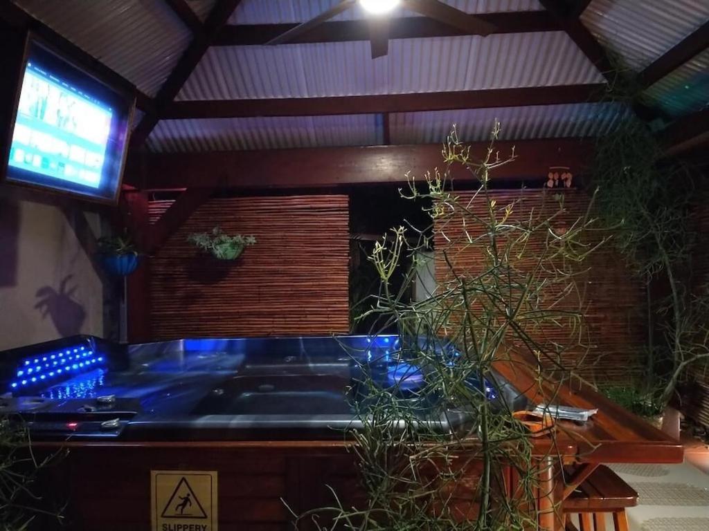 Tampa Bay Beautiful Apartment And Private Jacuzzi Kültér fotó