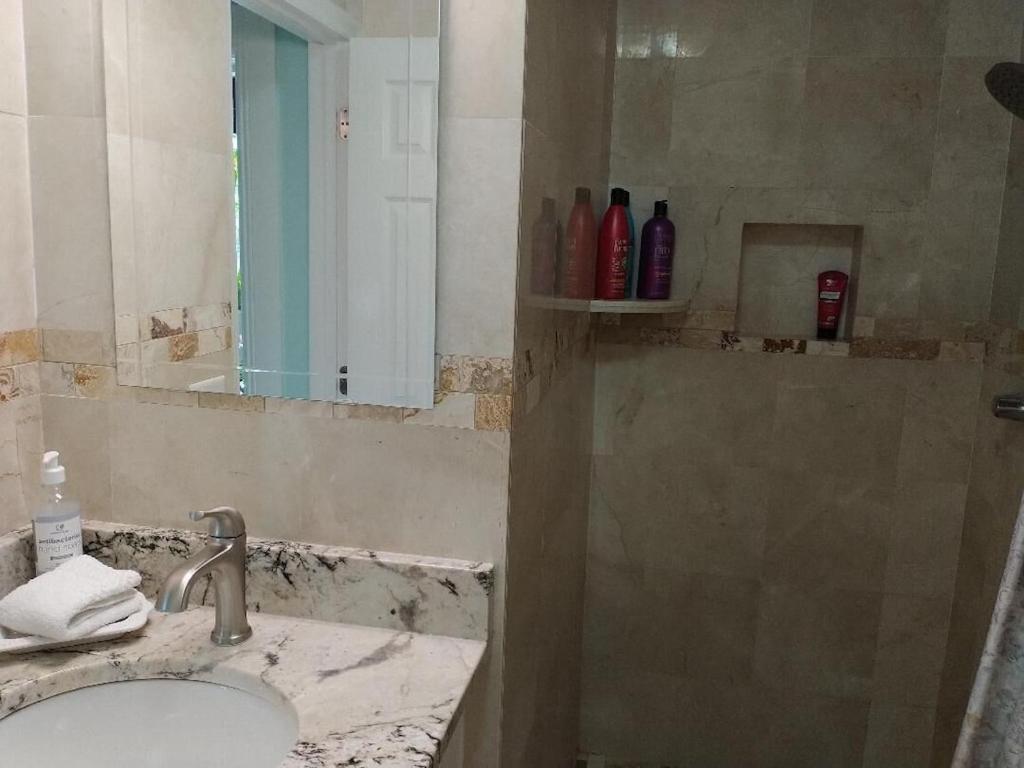 Tampa Bay Beautiful Apartment And Private Jacuzzi Kültér fotó
