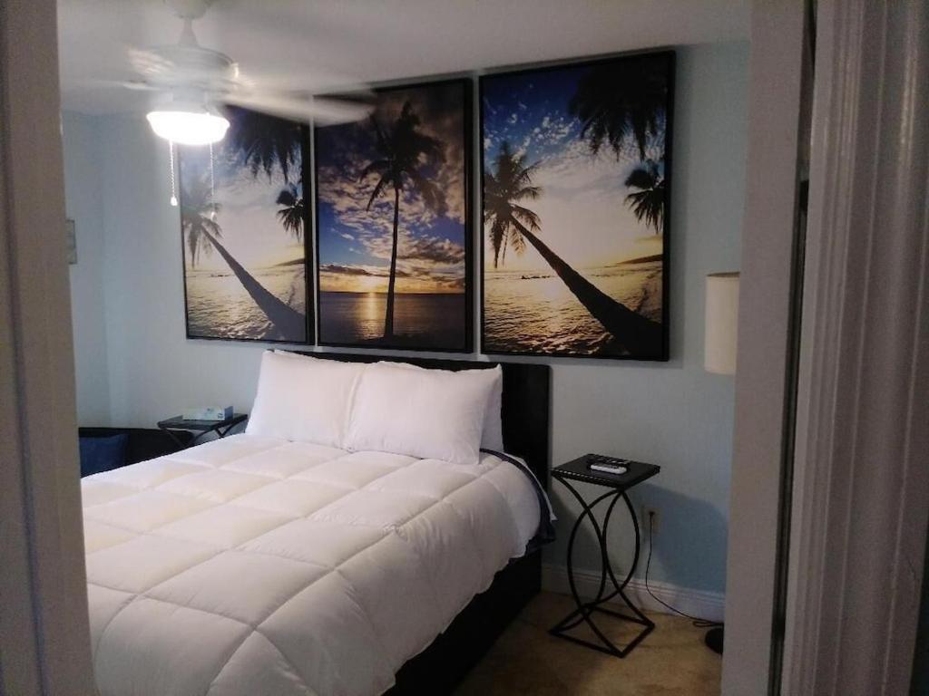 Tampa Bay Beautiful Apartment And Private Jacuzzi Kültér fotó
